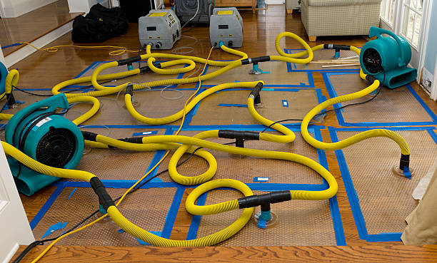 Professional Flood Damage Restoration technician working in Bloomville, OH