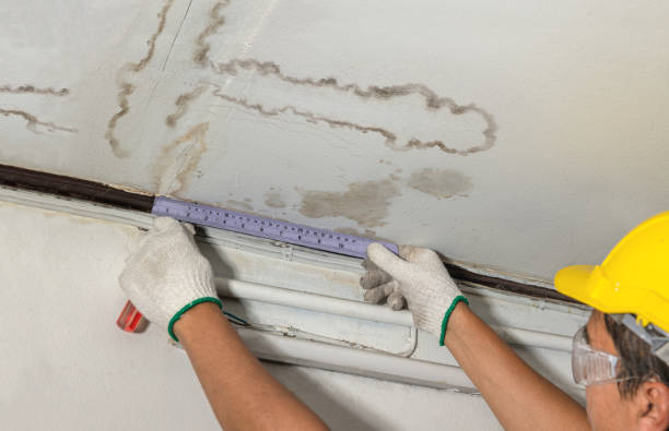 Affordable Water Damage Repair solutions in Bloomville, OH